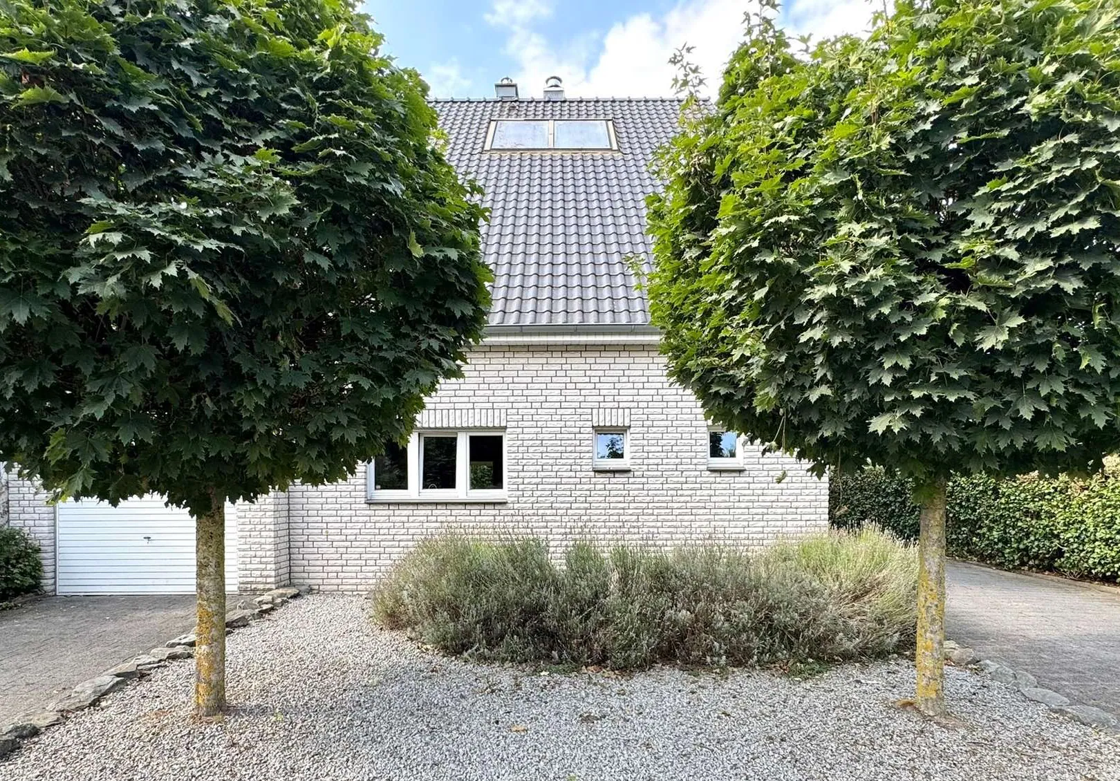 Hell verklinkertes Haus mit zwei Kugelbäumen und Kiesvorplatz in Coesfeld
